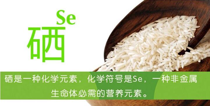 兒童小蝌蚪视频官网談硒的攝入含量